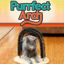 Haarfänger Borsten für Katzen mit kratzfestem Teppich Purrfect Arch Katzenminze