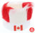 Team Canada Fan Perücke