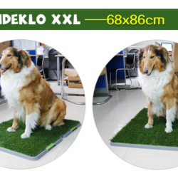 Dieses Hundeklo in XXL-Variante 68x86cm - ist optimal für grössere (z.B Kranke) Hunde oder auch mehrere kleinere Hunde oder Welpen geeignet.