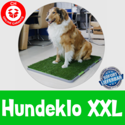 Hunde bzw. Welpentoilette in XXL Format!