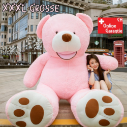 Das Perfekte Geschenk - XXXL Teddybär ca. 260cm Pink