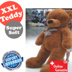 Mega XXL Teddybär Teddy ca. 300cm XXXL Geschenk Wunder