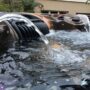 Jacuzzi preiswert kaufen Schweiz