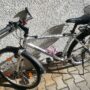 IMG_20210324_150800
