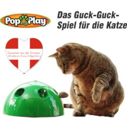 Interaktives Spielzeug ist das beste Spielzeug für das Wachstum und die allgemeine Entwicklung deiner Katze.