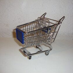 Kleiner Einkaufswagen  1