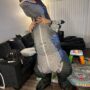 Raptor Dinosaurier Kostüm Airsuit für Erwachsene