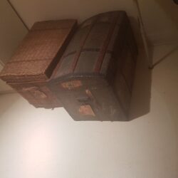 20250305_112537 (1)