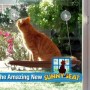 Katzenliege Fensterliege Sunny Seat Katze Bett Liege TV Hit NEU