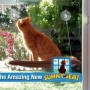 Fenster Katzenliege Katzensitz Sitzplatz Katze bekannt aus TV